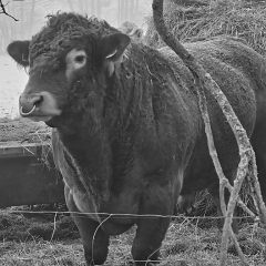 WhatsApp Image 2026-02-08 at 15.41.53_4